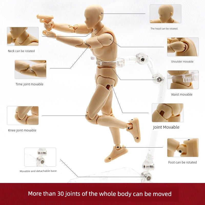 SHF Movable Baby Body Model